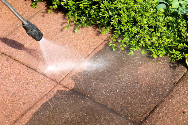 Professional Pressure Washing in Forest Oaks, NC